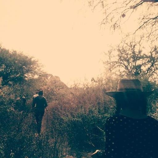 SparklettsFresh's profile picture. The dream is real. But your imagination not forever.

Se honesto; amable, altruista, humilde, y no siempre cariñoso.

All the love. S.