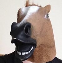 ZakMahBagel's profile picture. did i ever tell you the defintion of insanity