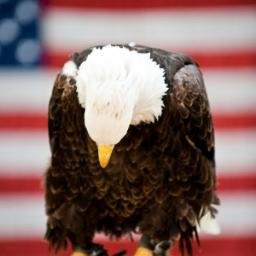 kenkodgersr's profile picture. 