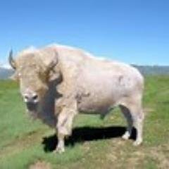 9999rhodes's profile picture. 