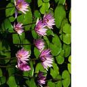 deonna jackson - @lalaboo10 - Twitter