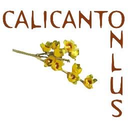 Calicanto_ONLUS's profile picture. Polo Polisportivo Integrato