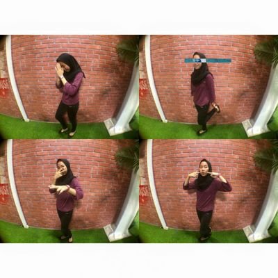idline:tiara.fz