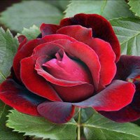 فتئ مارب (@abdullah969999) Twitter profile photo