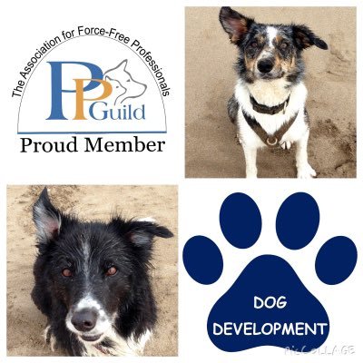 Modern, force free dog training. Kind, effective, reward-based methods. Full member of The Pet Professional Guild @PetGuild