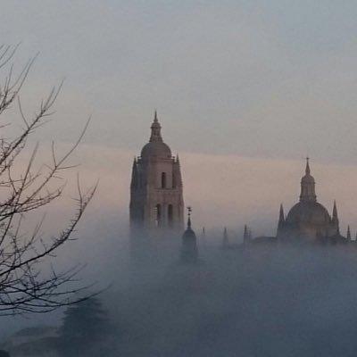 Español, hetero, blanco, convencido del libre mercado. El comunismo es terrorismo político y económico. Me gusta mi patria. Orgulloso y fiel a todo lo anterior.