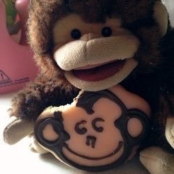 a cookie eating monkey