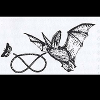 Staffs Bat Group (@staffsbats) Twitter profile photo