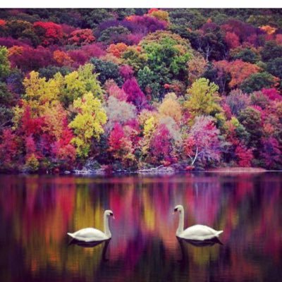 appil123's profile picture. 