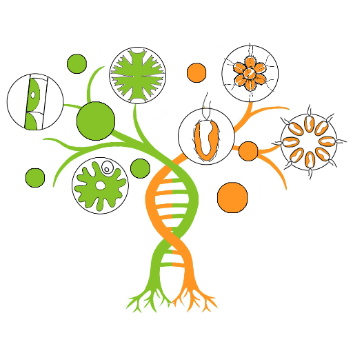 Algal speciation & evolution lab @Science_Charles | @CharlesUniPRG