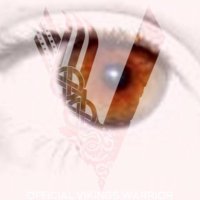 Diane D (@dcd728) 's Twitter Profile
