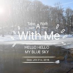 MSvsMe's profile picture. 