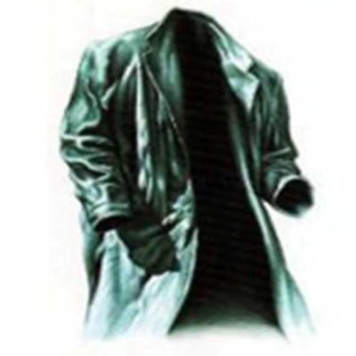 raylike's profile picture. 