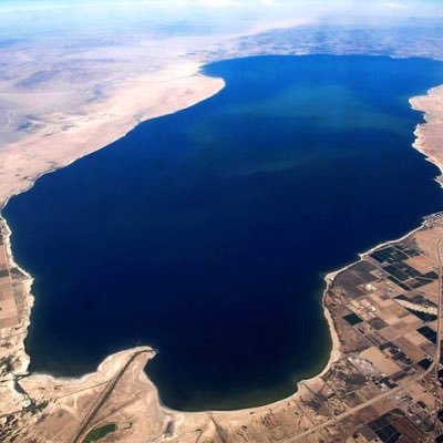 Official Twitter account of The Salton Sea. Serving all communities surrounding the largest lake in California. Crossing 2 counties. 237 ft below sea level. 🆘