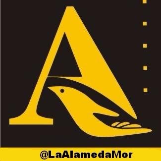 LaAlamedaMor Profile Picture