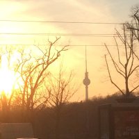 Sebastian Ruppin (@brickea) Twitter profile photo