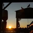 TracyDeerMirek - @TracyDeerMirek - Twitter