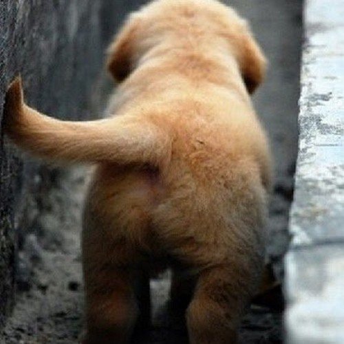 SarunSunday's profile picture. 