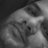 RavinderSBisht's profile image