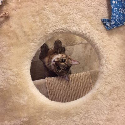 Vy4yapfD4txMGmr's profile picture. 東藤沢小→上藤沢中→私立