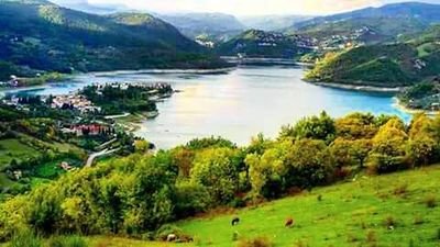 prolococolledi1's profile picture. associazione 
Sagre eventi tradizioni