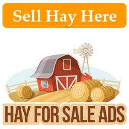 Hay For Sale Ads Hayforsaleads Twitter