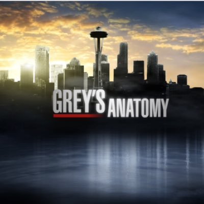 I literally have watched all seasons GreysAnatomy and am in love with it.