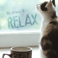 ばんび🌸 (@banbi_norusoru) Twitter profile photo