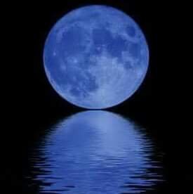 whopaid4u's profile picture. 