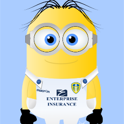 Life long Leeds Fan, with a soft spot for the Mariners, obsessed by Minions.