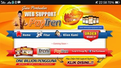 WebsupportPAY's profile picture.