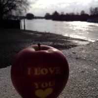 Strand on the Green (@strandw4) 's Twitter Profile
