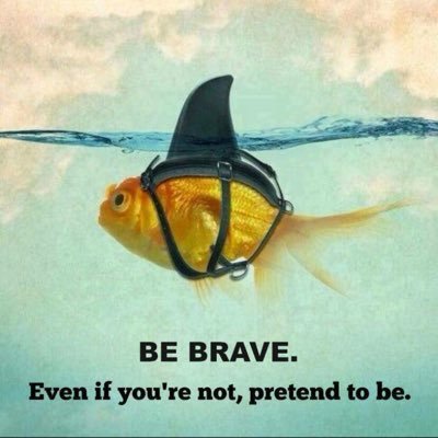 JodyMacqueen's profile picture. I'm pretty awesome