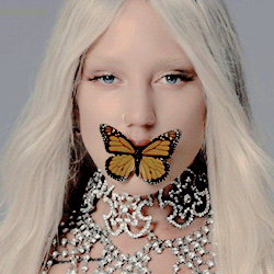 AlterLex's profile picture. ~**-..Doppelganger..-**~A churning sea of wonderful corruption. Your blood would look so pretty stained on my skin. ♠