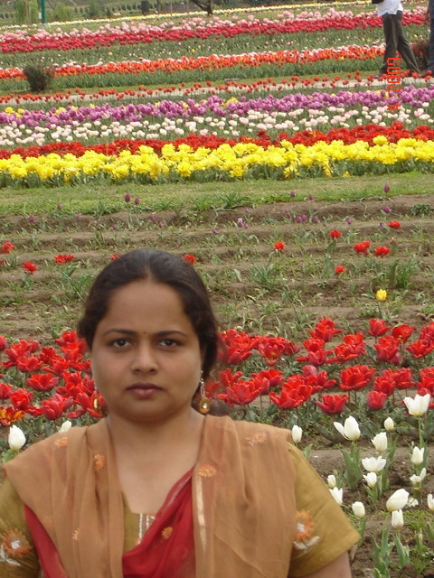 hetalhshah's profile picture. 