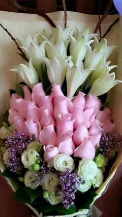 z1234567i9a's profile picture. 