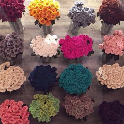 Englishlesson55's profile picture. اللغة الانجليزية تأخذ حيّز كبير بـ يومياتي   ..  سناب تشات : ghaidaennglish