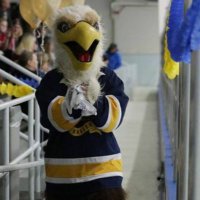 Eddie The Eagle (@leydensmascot) 's Twitter Profile