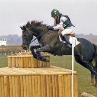 Lisa Hamilton (@ridewelltrainer) 's Twitter Profile