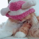 (⁘‿̑̈⁘) (@0101chinatic) Twitter