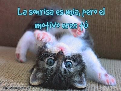 Betina92147370's profile picture. 