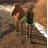 _morgannlynn's profile image