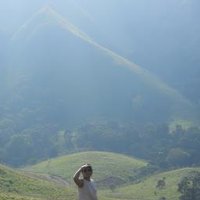 Vidya Iyengar (@vidyaiyengarblr) 's Twitter Profile