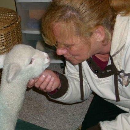 SEObytheC's profile picture. Never let life beat me down for longer than it takes to say OUCH! Life is too short to dwell on the negative...I do however miss my Dad more than words can say!