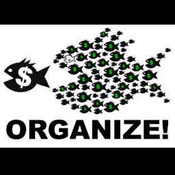 We are uniting #Bernie Candidates across the nation for the Political Revolution we are all a part of. Click our website to support All Bernie Candidates!