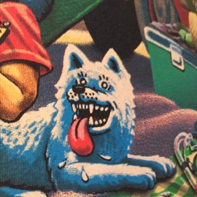 i______ves's profile picture. lil mutty broke leg