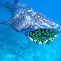 For information about us, joining the group, and other business inquiry please email us @ cryptotradingwhales@gmail.com