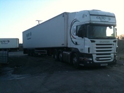 deadstack's profile picture. 