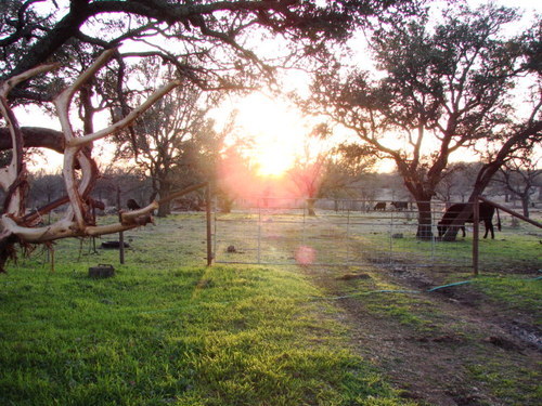 F_BurgTexas's profile picture. 