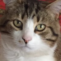 iona (@iona19751975) 's Twitter Profile
